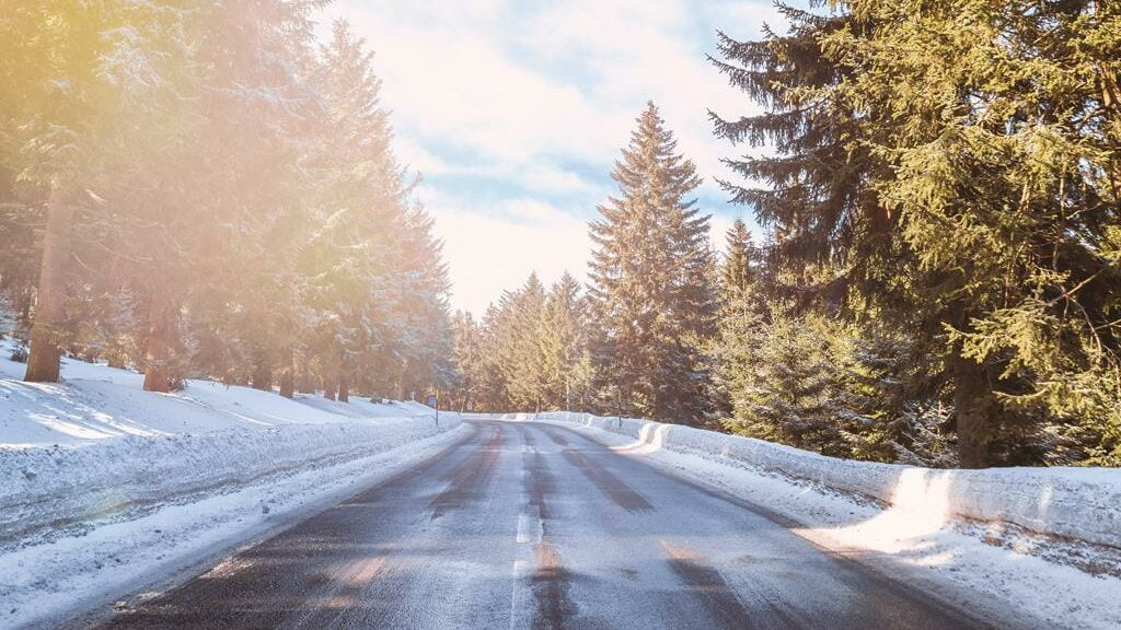Estrada com árvores na lateral e neve
